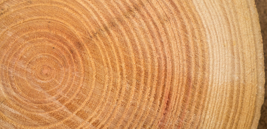 Wood: A Material That Tells a Story